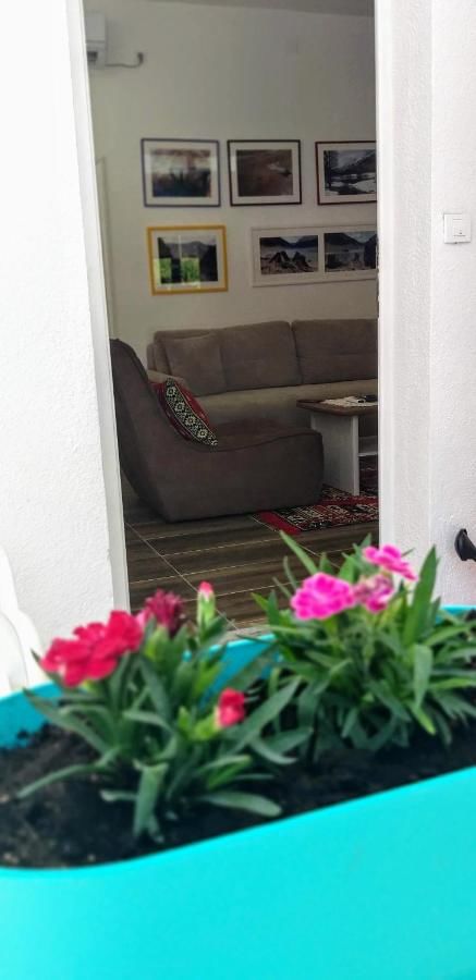 Апартаменты Apartmani HERCEG-Plužine Плужине-23