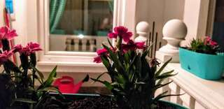Апартаменты Apartmani HERCEG-Plužine Плужине Апартаменты - 1-й этаж-21