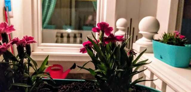 Апартаменты Apartmani HERCEG-Plužine Плужине-29